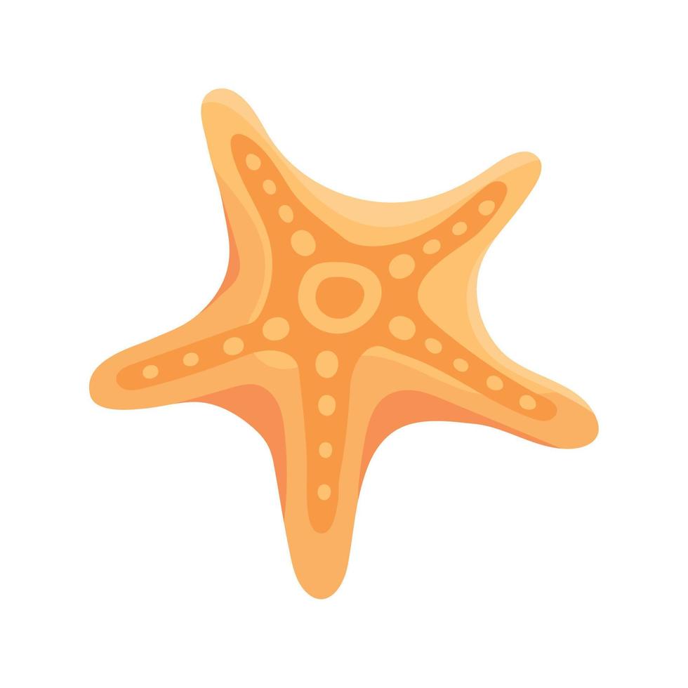 starfish sea life vector