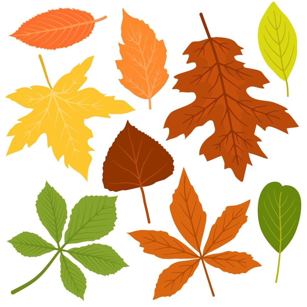 colección de hojas de otoño mejor para pegatinas y decoración vector