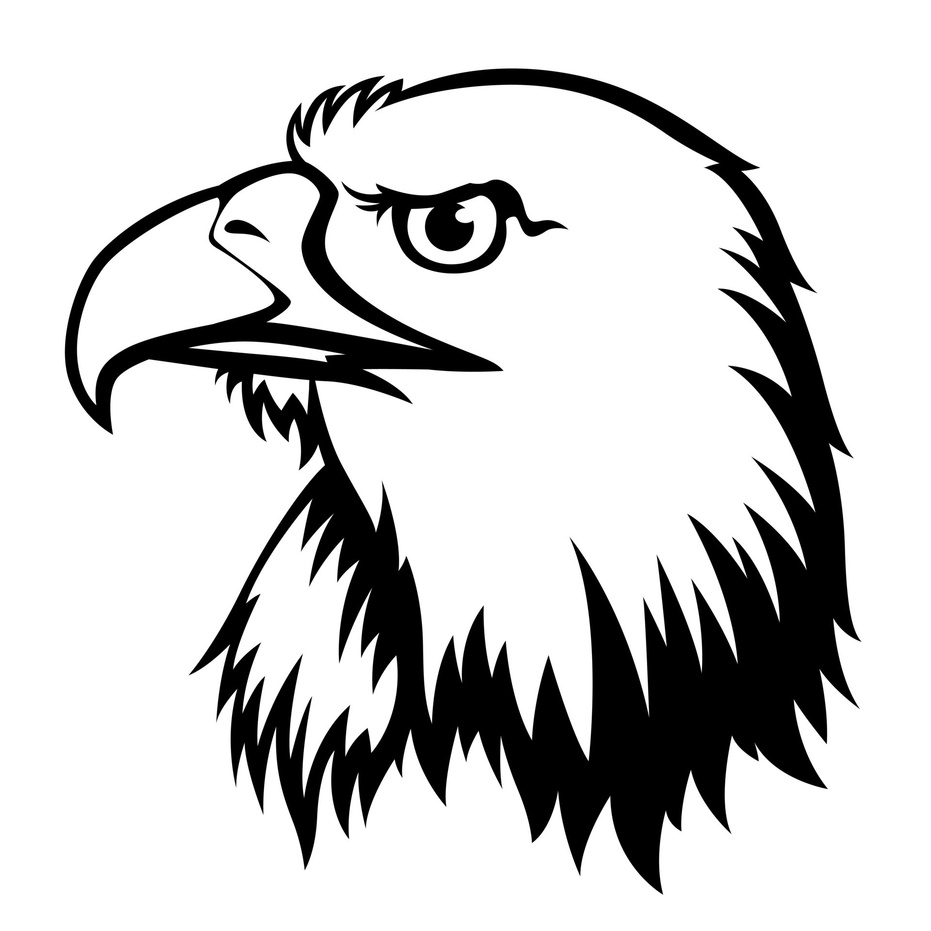 drawing a black head eagle 10826243 Vector Art at Vecteezy