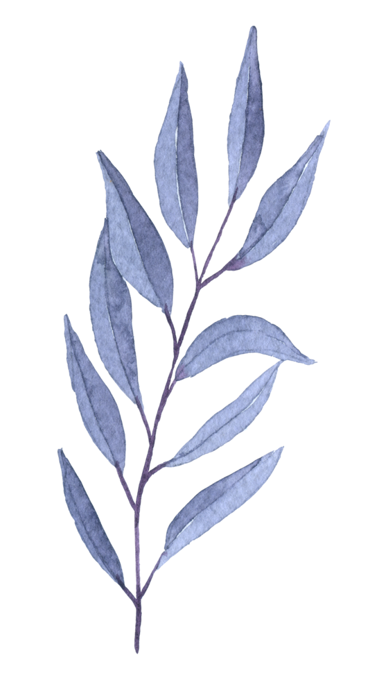 aquarela de folhagem, elemento de aquarela de folha bonita png