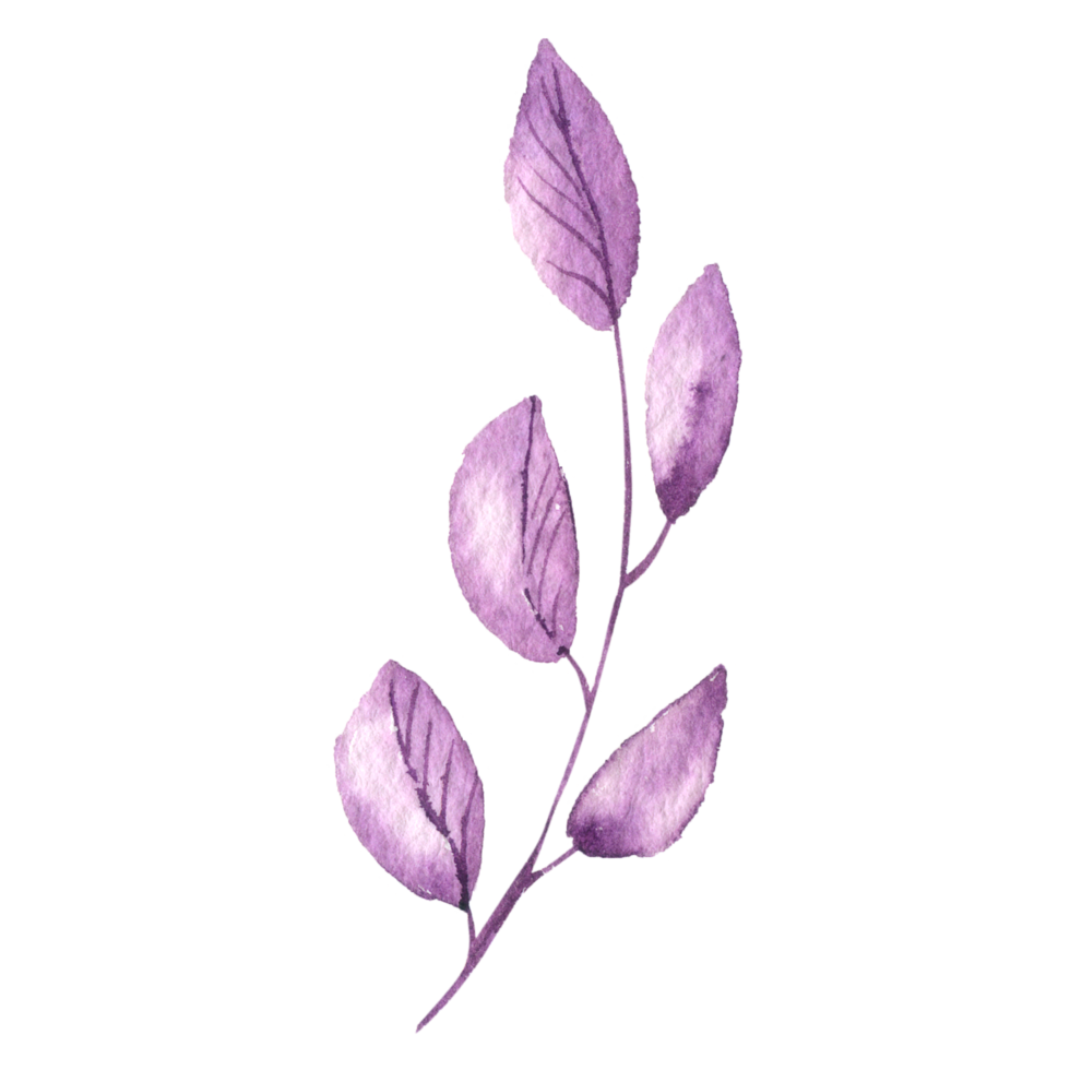 Halloween watercolor element png
