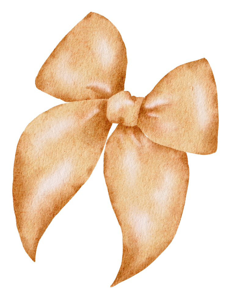 Ribbon bow ornament watercolor clipart png