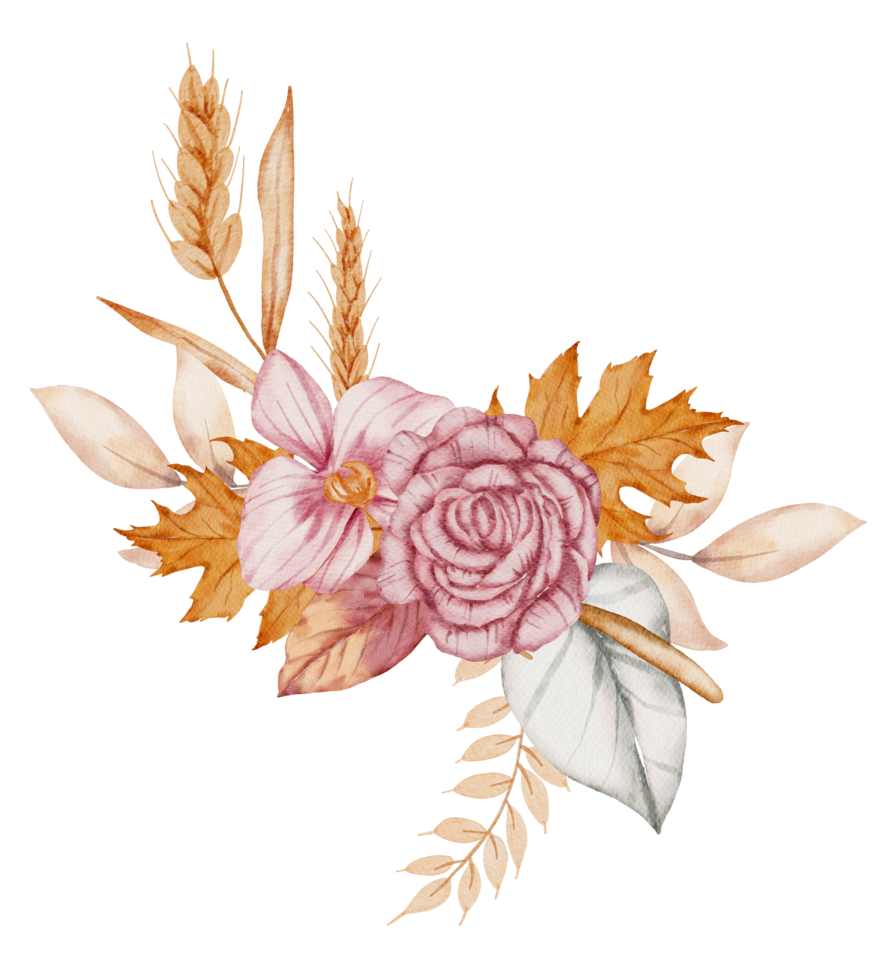 Thanksgiving autunm fall watercolor clipart png