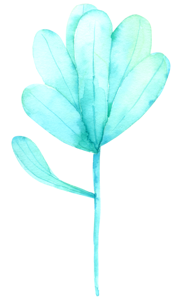 Plant watercolor hand paint png