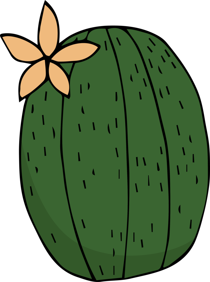 cactus tekenfilm tekening png