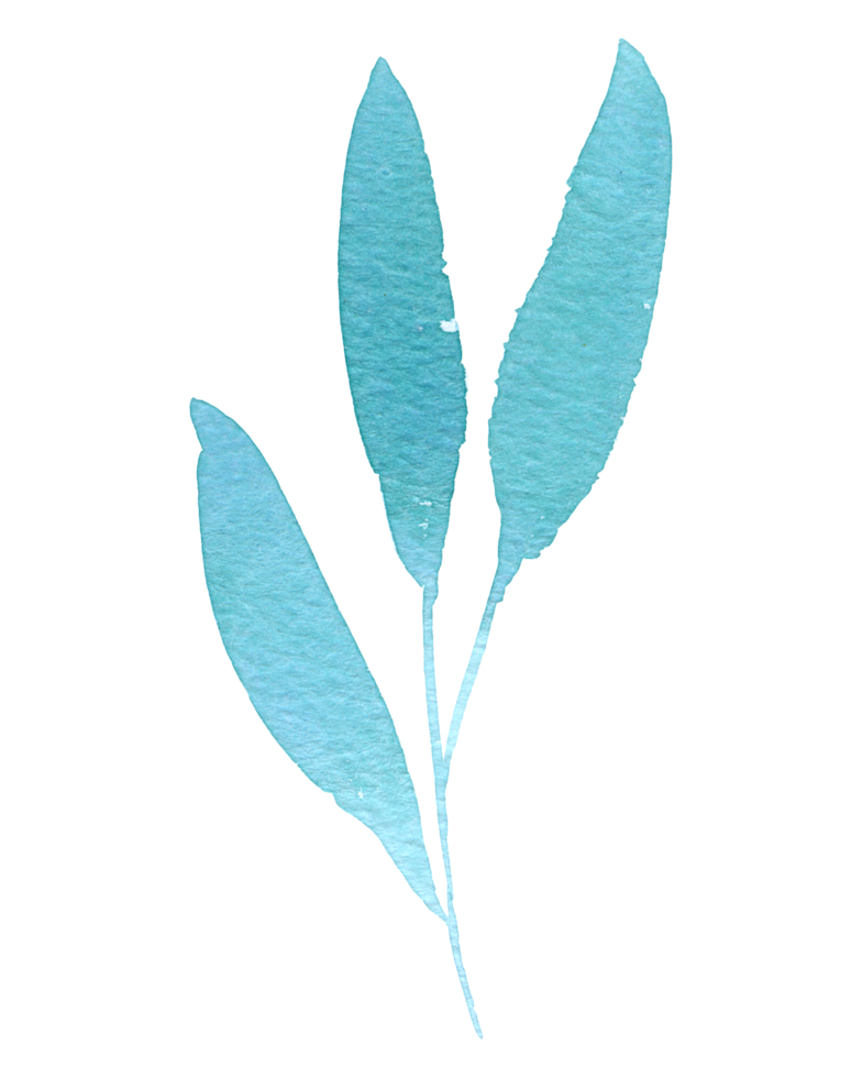 Leaf watercolor hand paint png