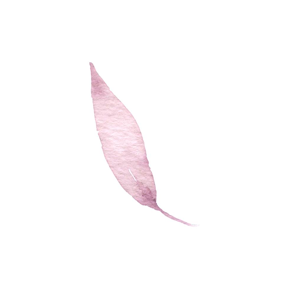 Autumn leaf watercolor png