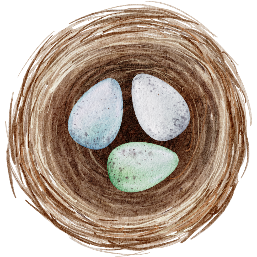 ovos de páscoa no ninho aquarela png