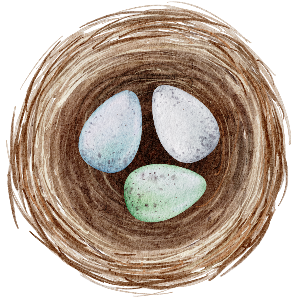 oeufs de pâques dans le nid aquarelle png