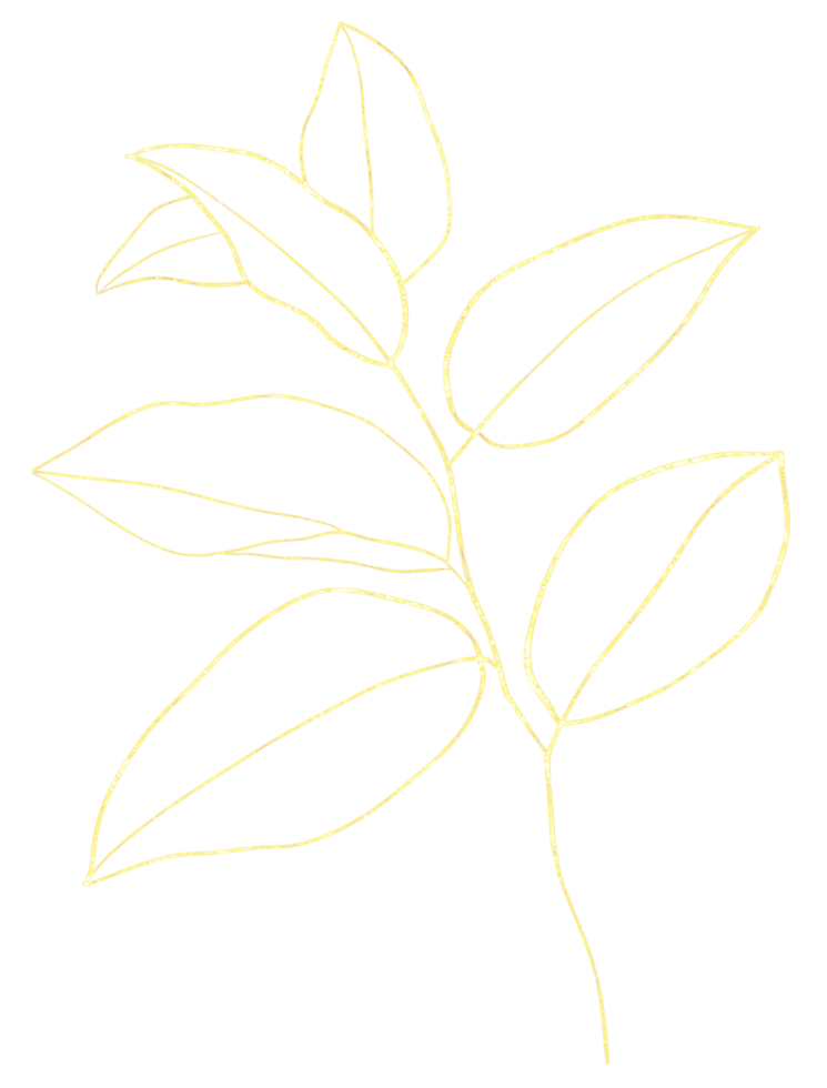 Leaf line art with gold png