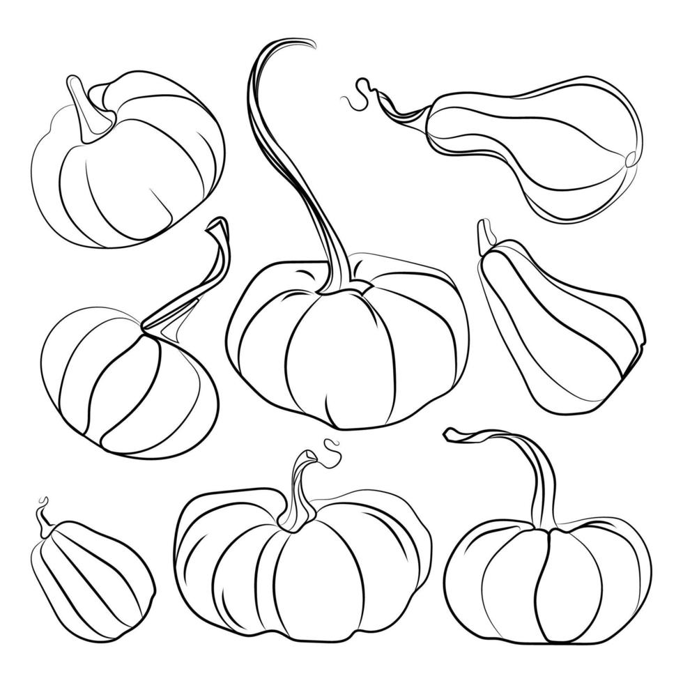 Autumn pumpkin Black line drawing icon set.Vector illustrationon white.Contour template different shape gourd.Thanksgiving and Halloween, season crop capacity.Linear pumpkins of various shapes vector