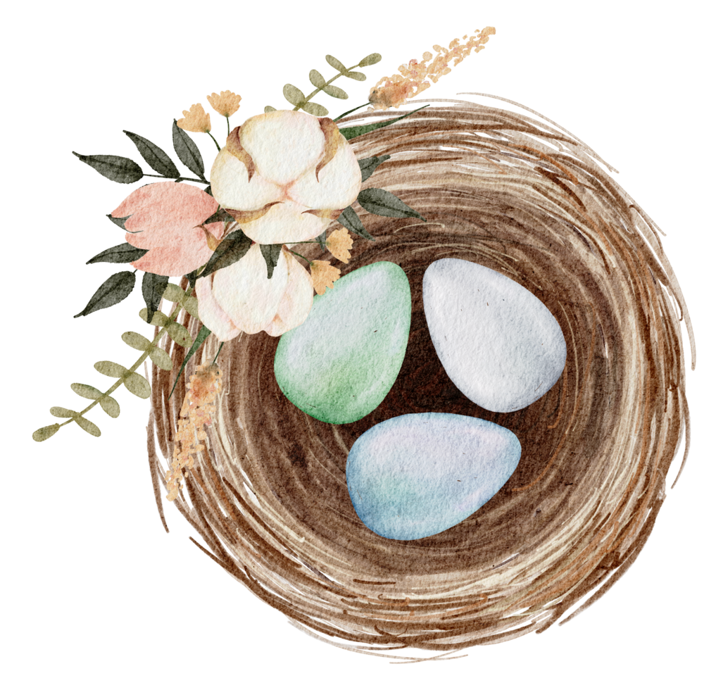 Easter eggs in the nest watercolor png