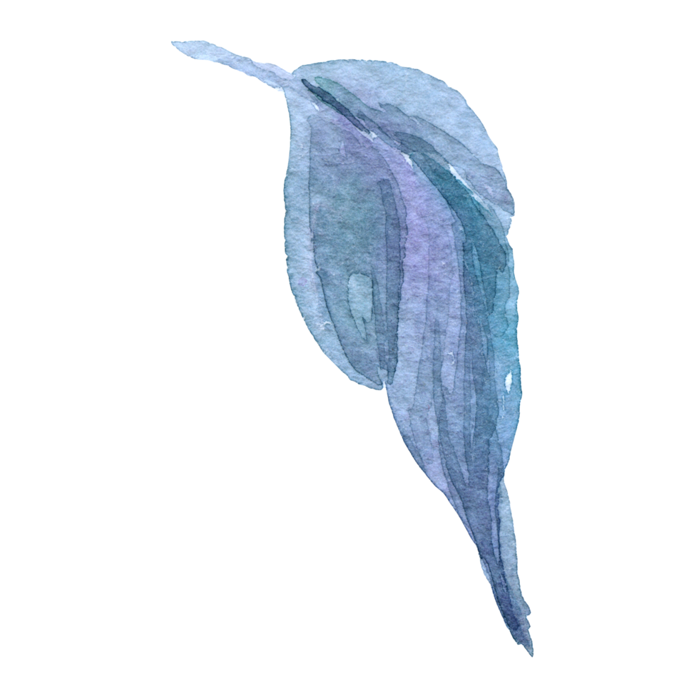 Violet flower watercolor collection png