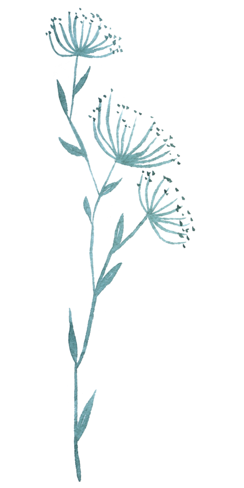 vildblomma akvarell, vacker blomma akvarell element png