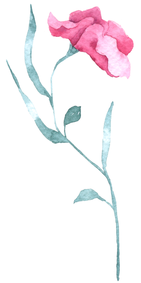 Wildflower watercolor, Beautiful flower watercolor element png