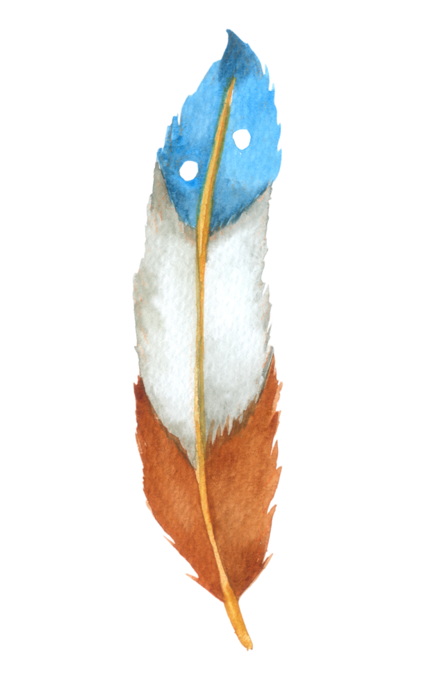 Feather watercolor hand paint png
