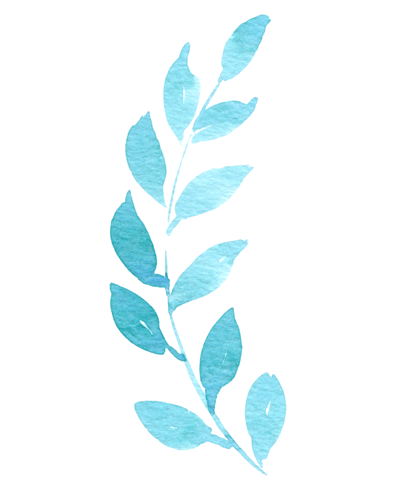 Leaf watercolor hand paint png