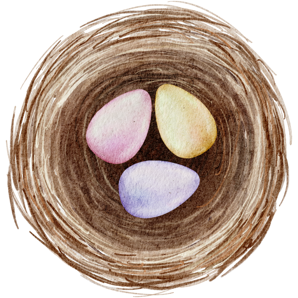 Easter eggs in the nest watercolor png