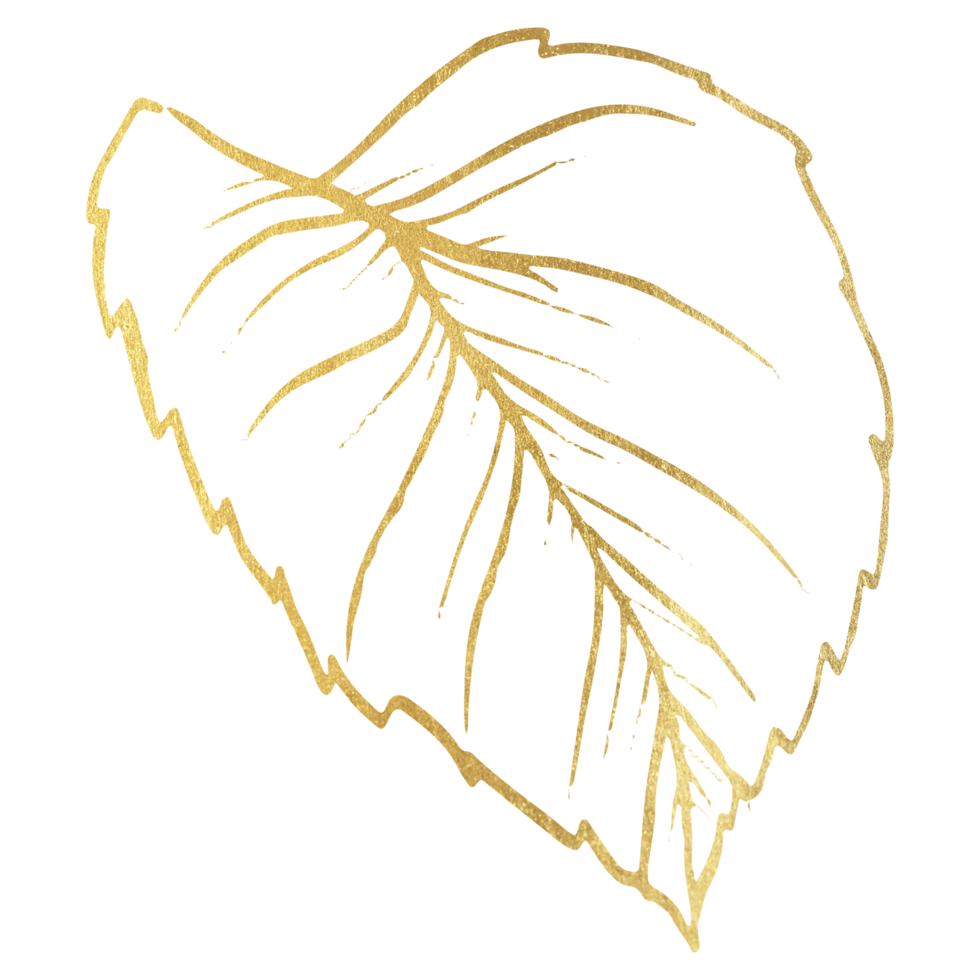 Rose Flower with gold line art png