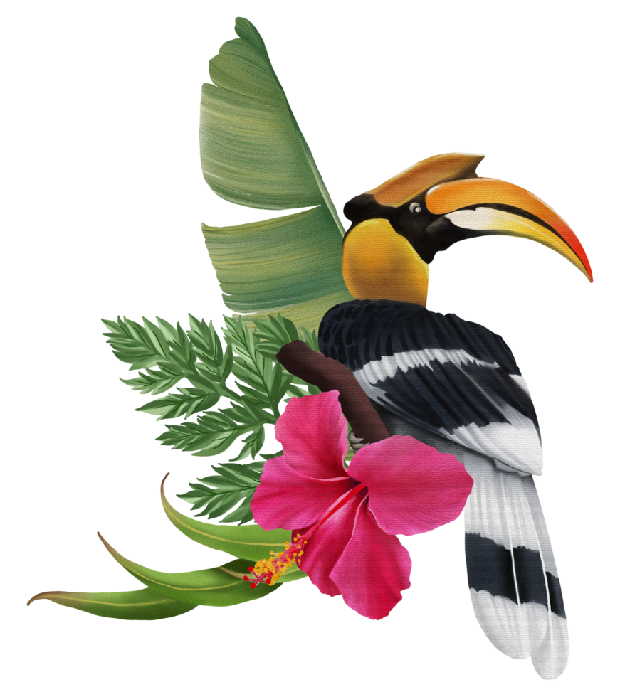 tropische compositie met vogel aquarel handverf png