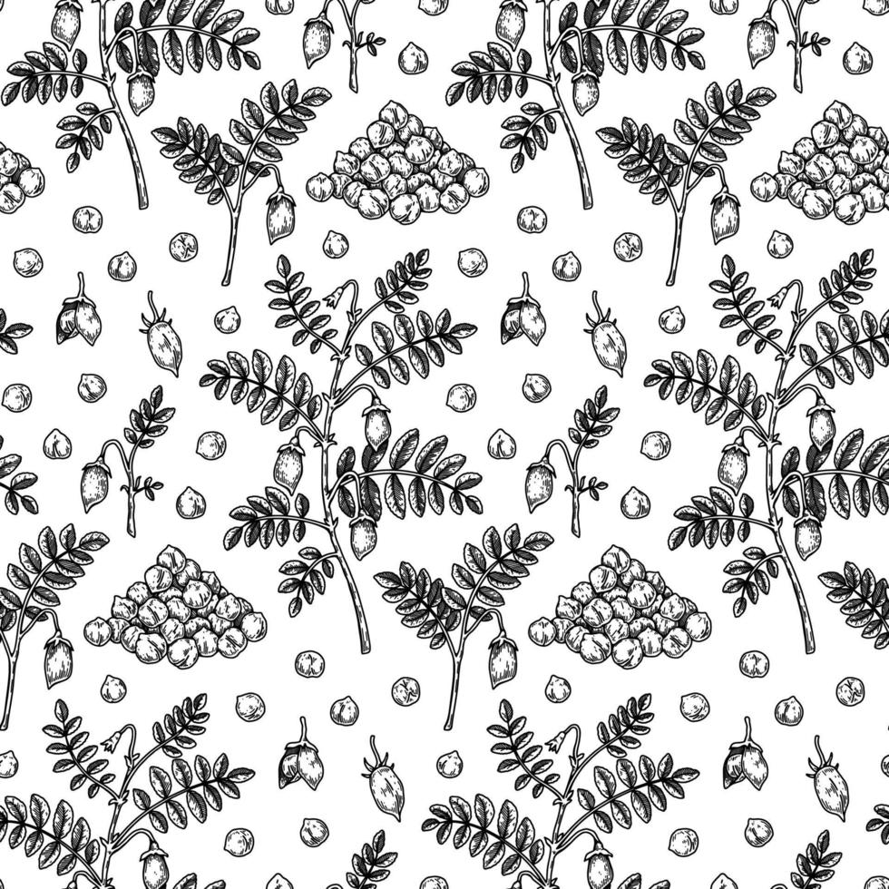 Hand drawn chickpeas seamless pattern. Vector illustration in sketch style