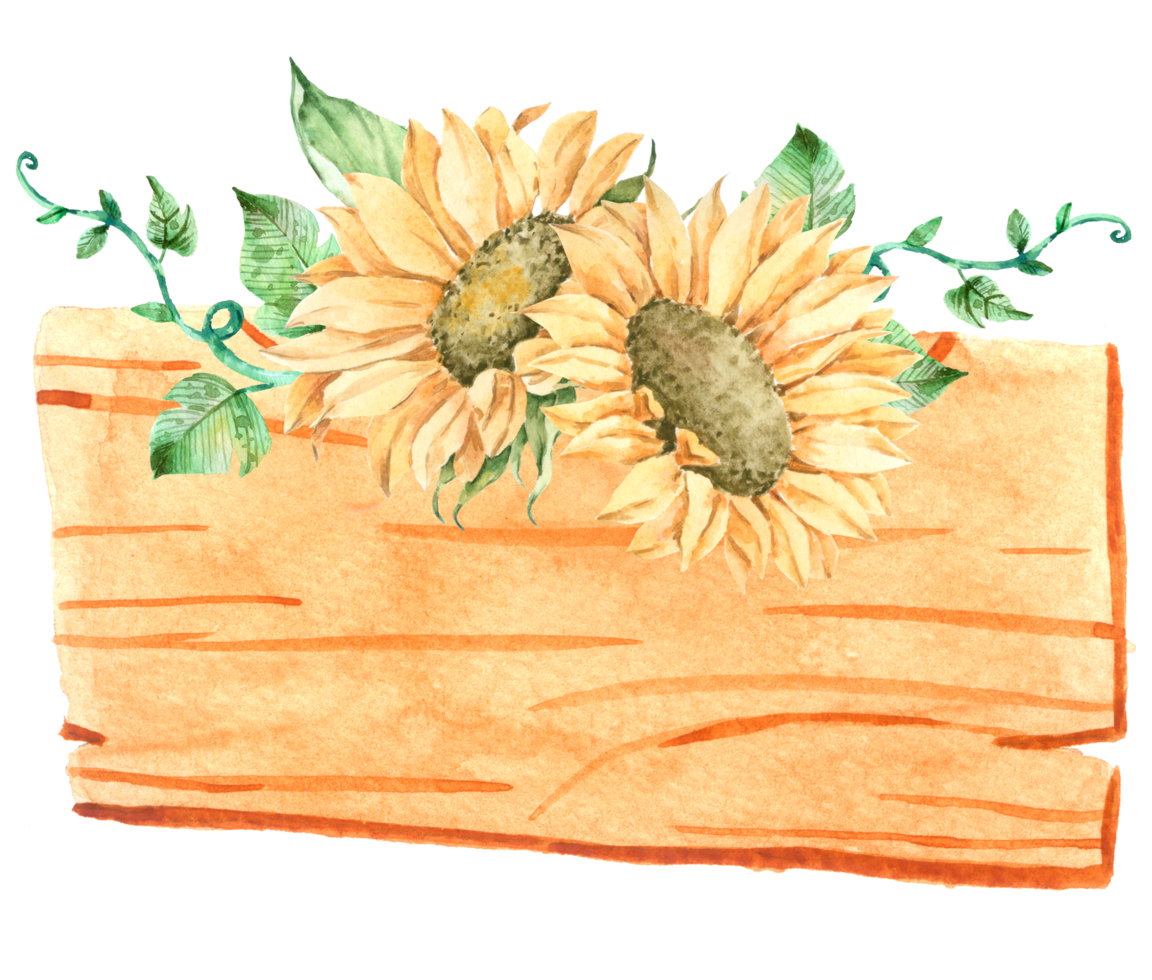 Signwood with sunflower watercolor png