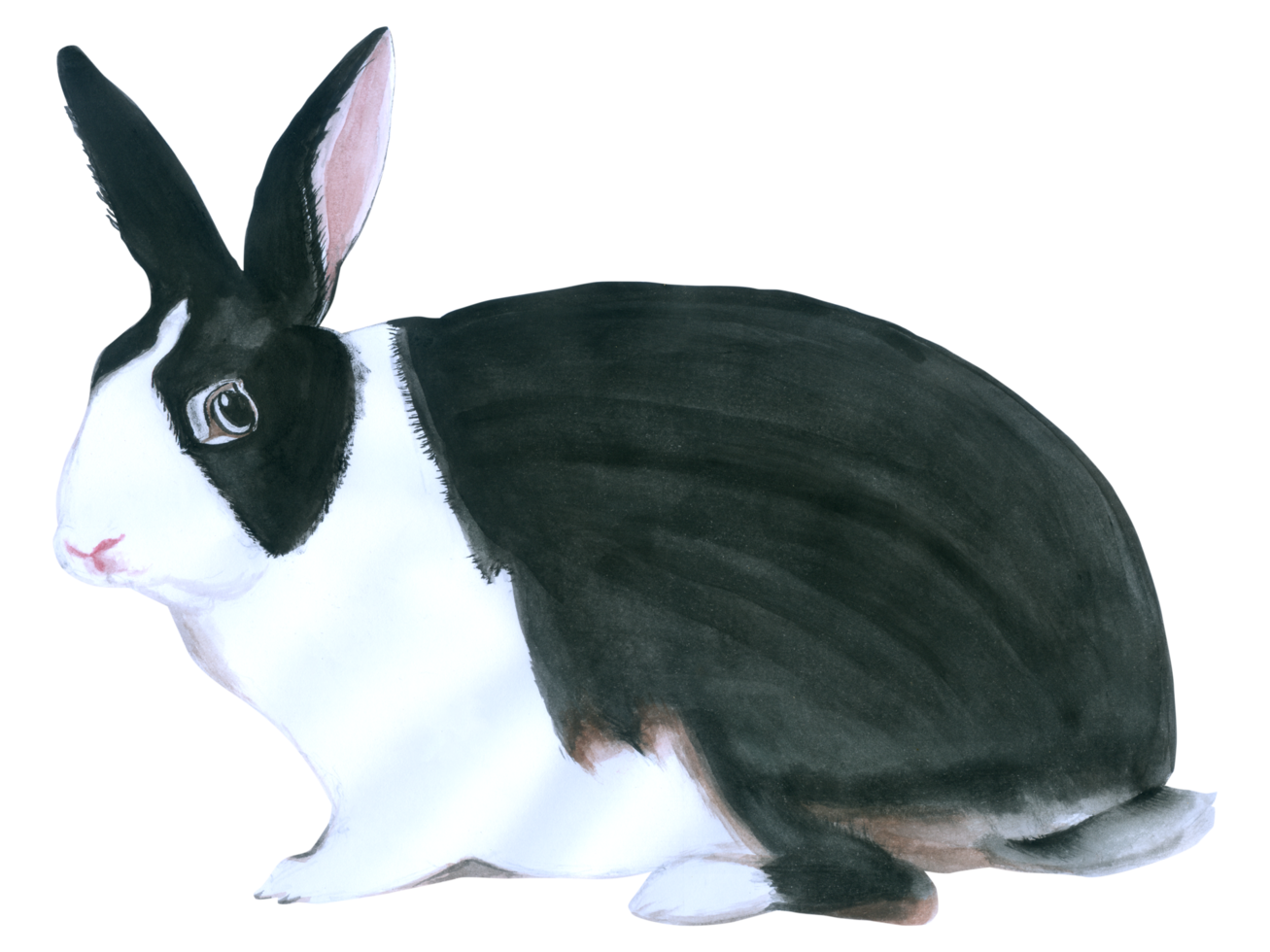 acquerello animale di pasqua di coniglio png