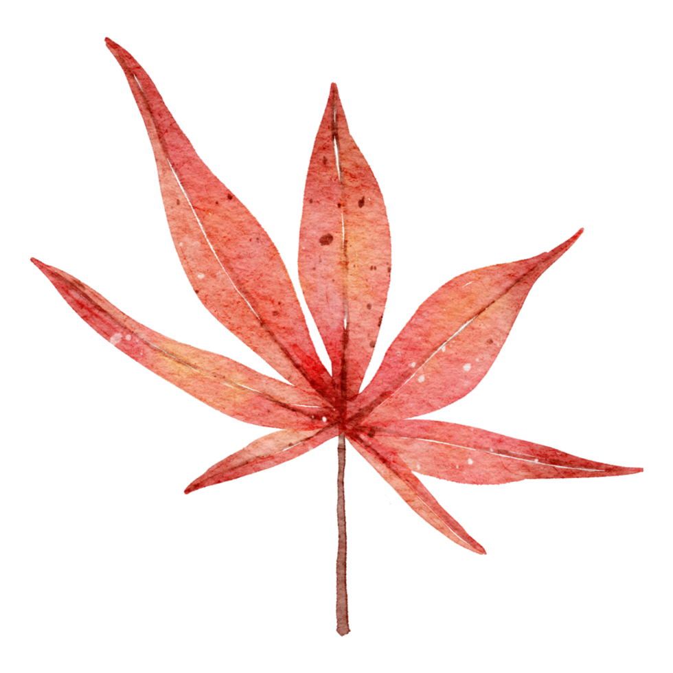 aquarelle de feuilles d'automne png