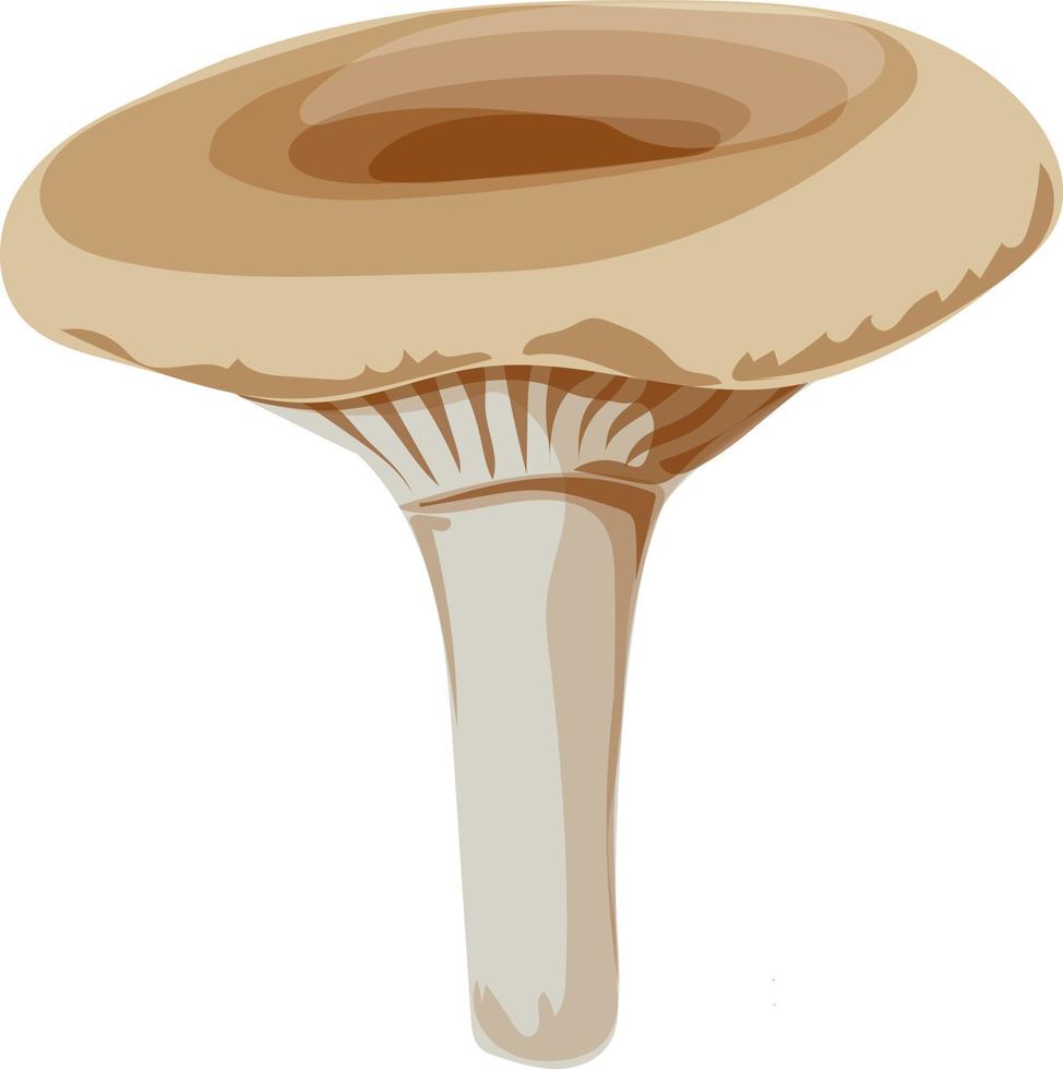 Lactarius mushroom forest. vector