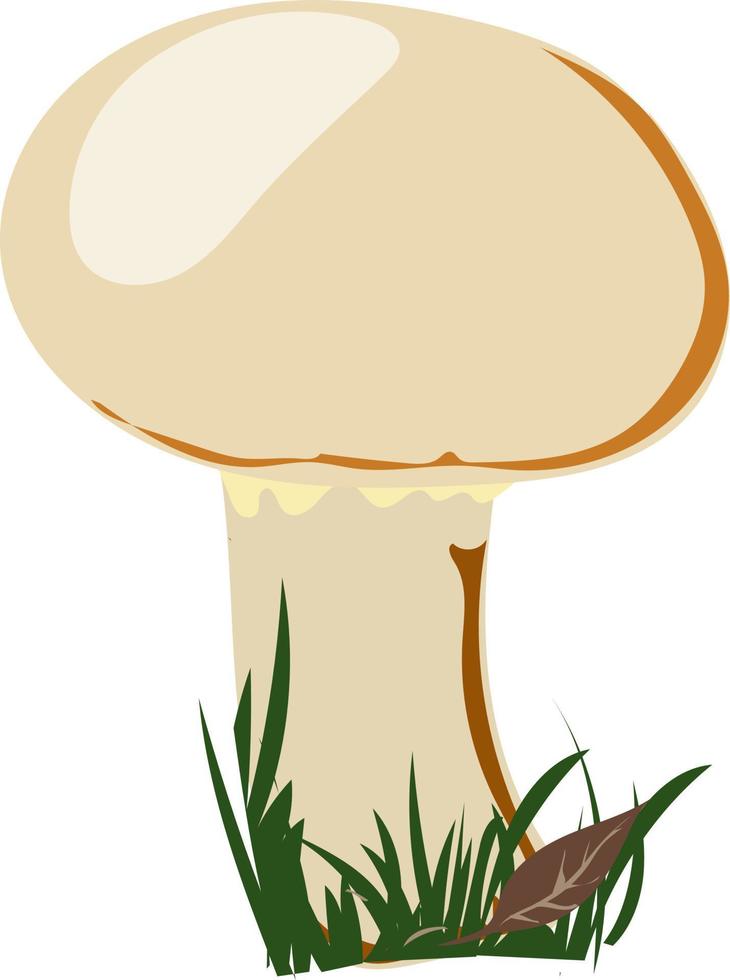 Champignon food mushroom. vector