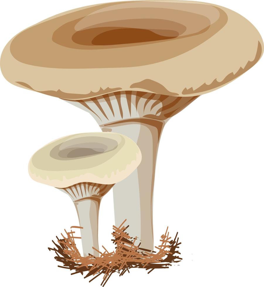 Lactarius mushroom forest. vector