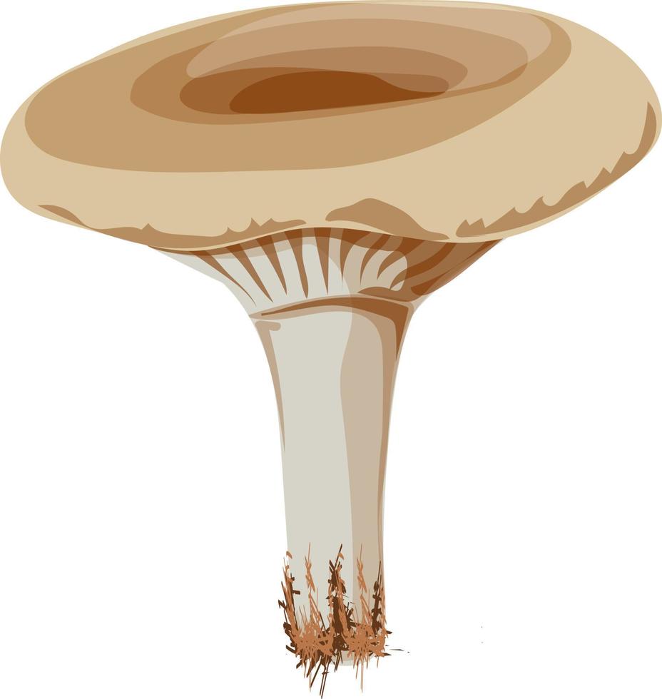 Lactarius mushroom forest. vector