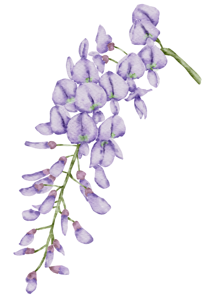 flor elemento acuarela boda flor png