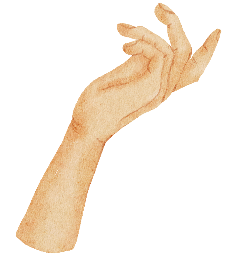 gesto delle mani ad acquerello png