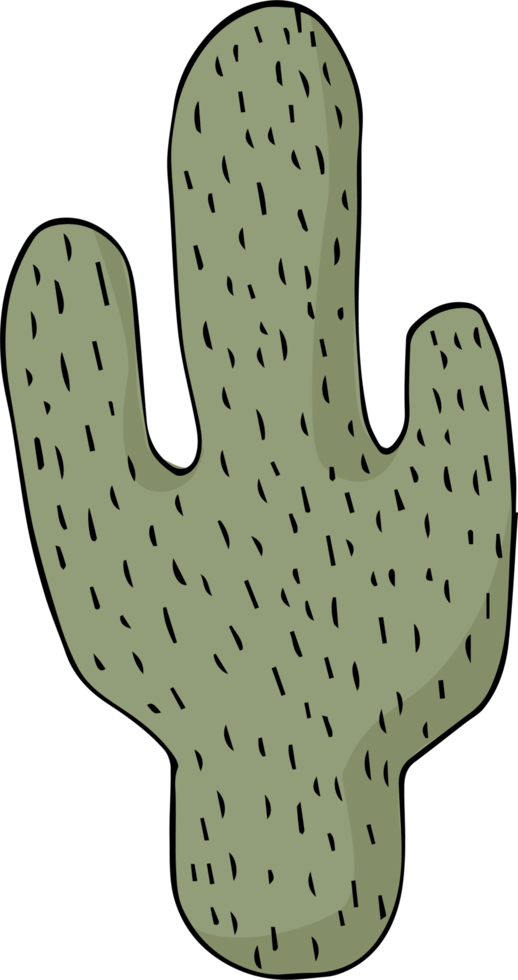 garabato de dibujos animados de cactus png