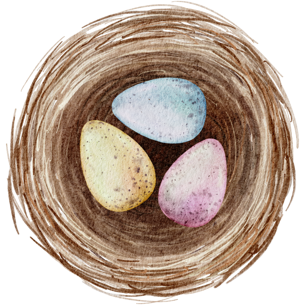 Easter eggs in the nest watercolor png