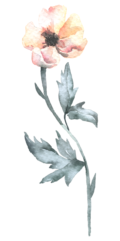 vildblomma akvarell, vacker blomma akvarell element png