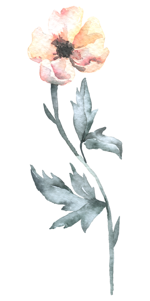 aquarela de flores silvestres, elemento de aquarela linda flor png