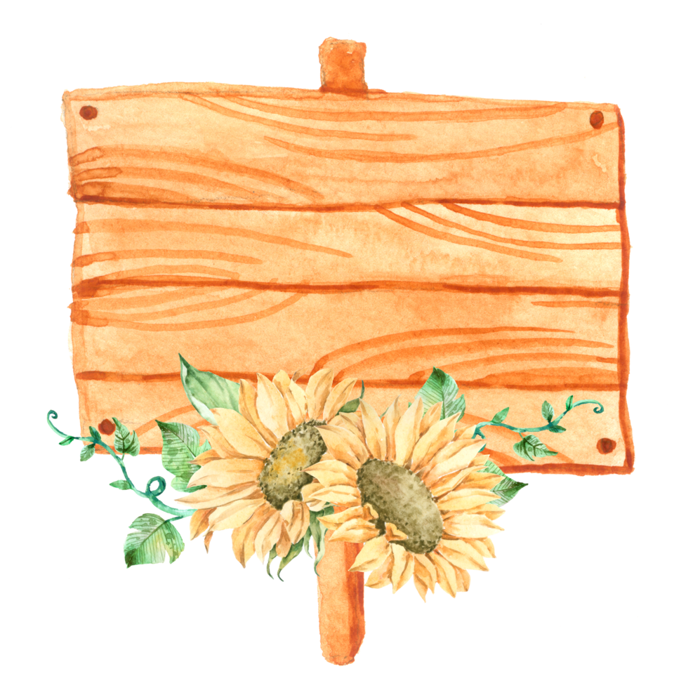 Signwood with sunflower watercolor png