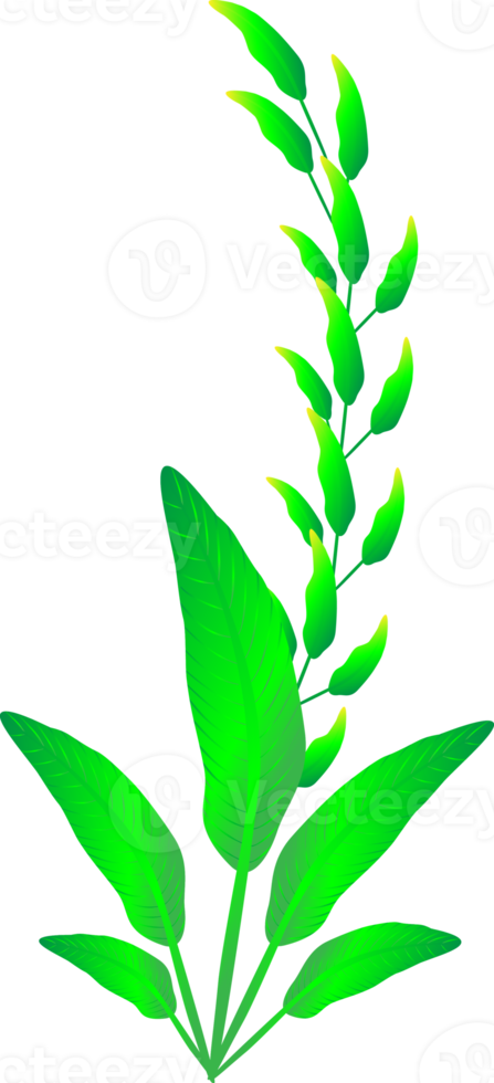Greenery leaf plants home decorative abstract background art graphic design spring pattern illustration png