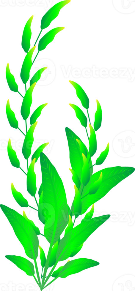 Greenery leaf plants home decorative abstract background art graphic design spring pattern illustration png