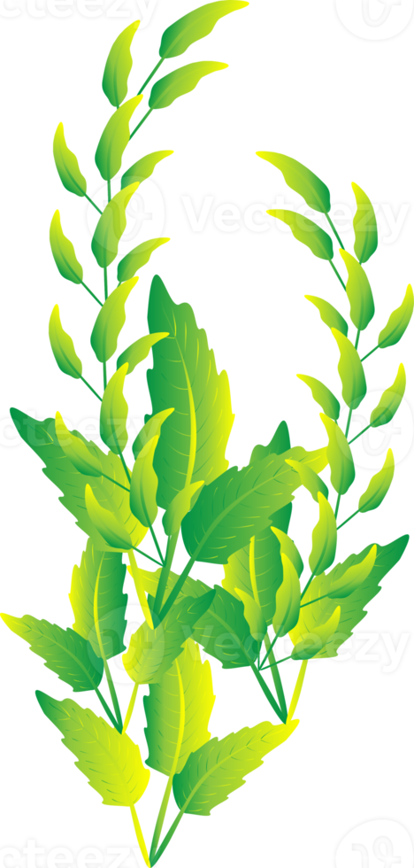 folhas flor plantas decorativo abstrato arte de design gráfico ilustração padrão png