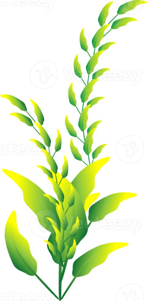 Greenery leaf plants home decorative abstract background art graphic design spring pattern illustration png