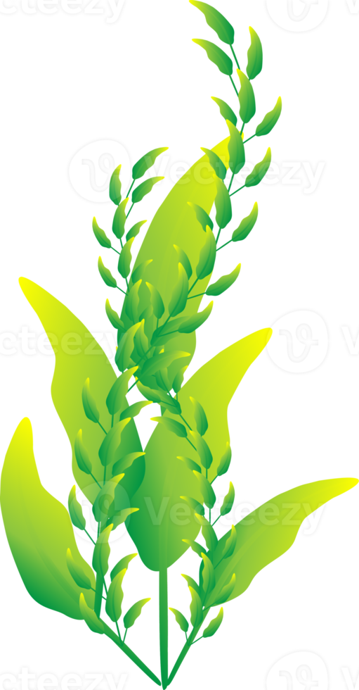 Greenery leaf plants home decorative abstract background art graphic design spring pattern illustration png
