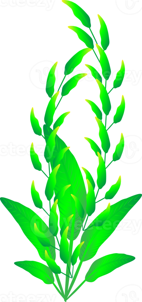 Greenery leaf plants home decorative abstract background art graphic design spring pattern illustration png