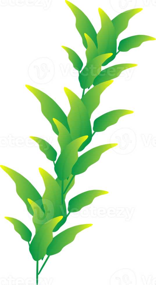 Greenery leaf plants home decorative abstract background art graphic design spring pattern illustration png