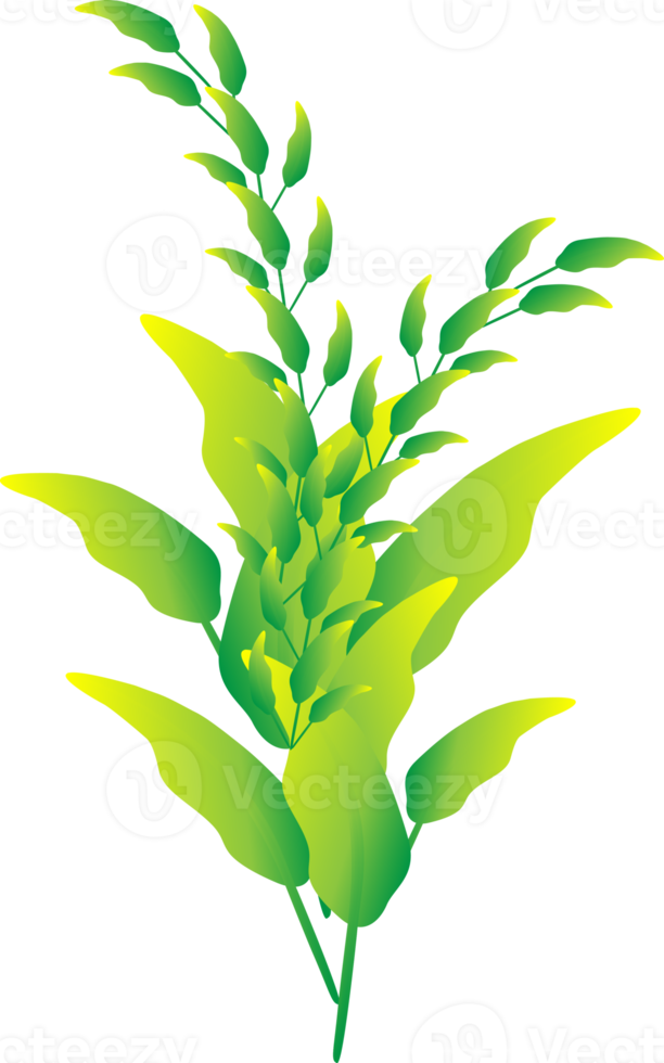 Greenery leaf plants home decorative abstract background art graphic design spring pattern illustration png
