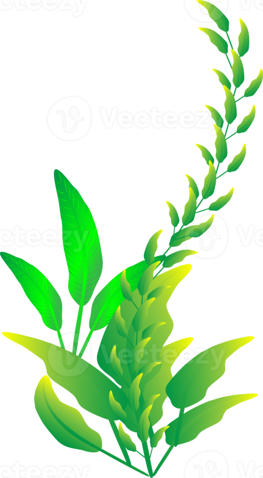 Flower leaf houseplant ornament decoration graphic design illustration png