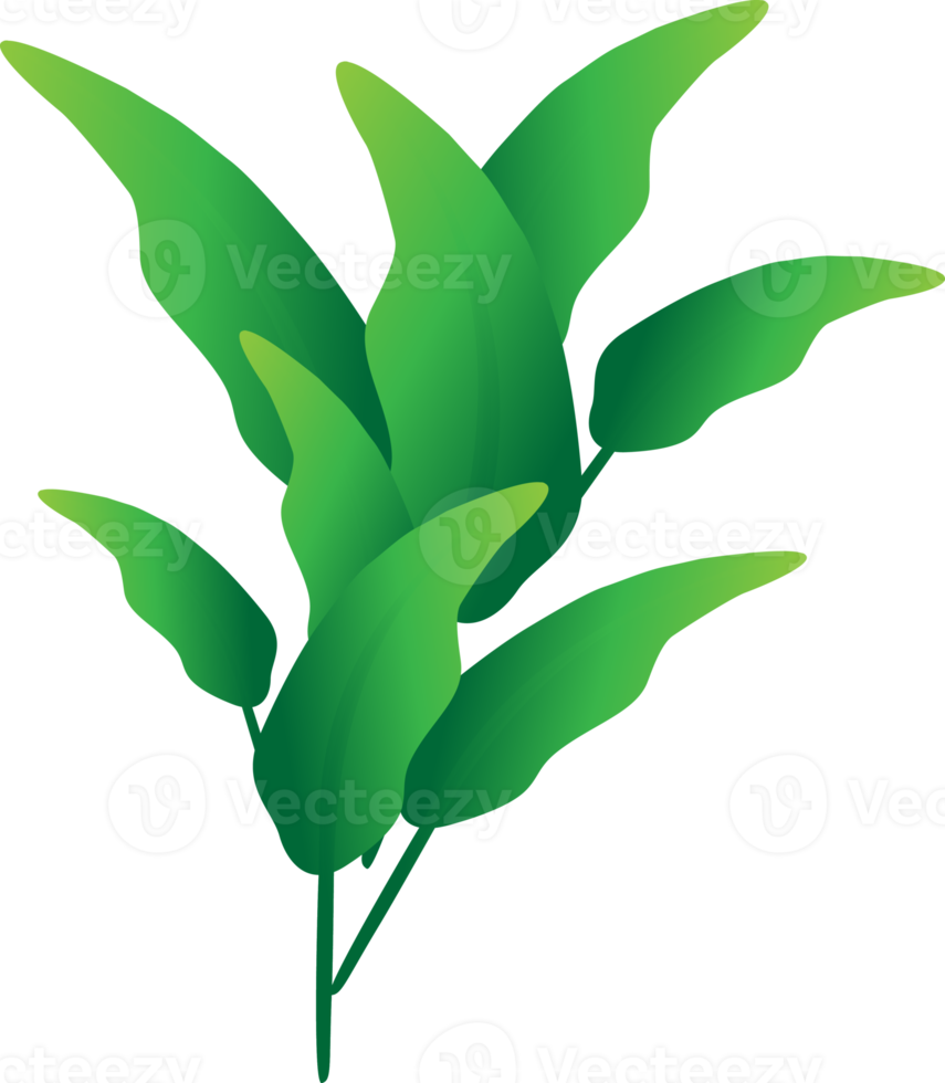 Greenery leaf plants home decorative abstract background art graphic design spring pattern illustration png