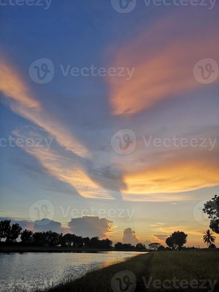 beautiful sunset over the field photo